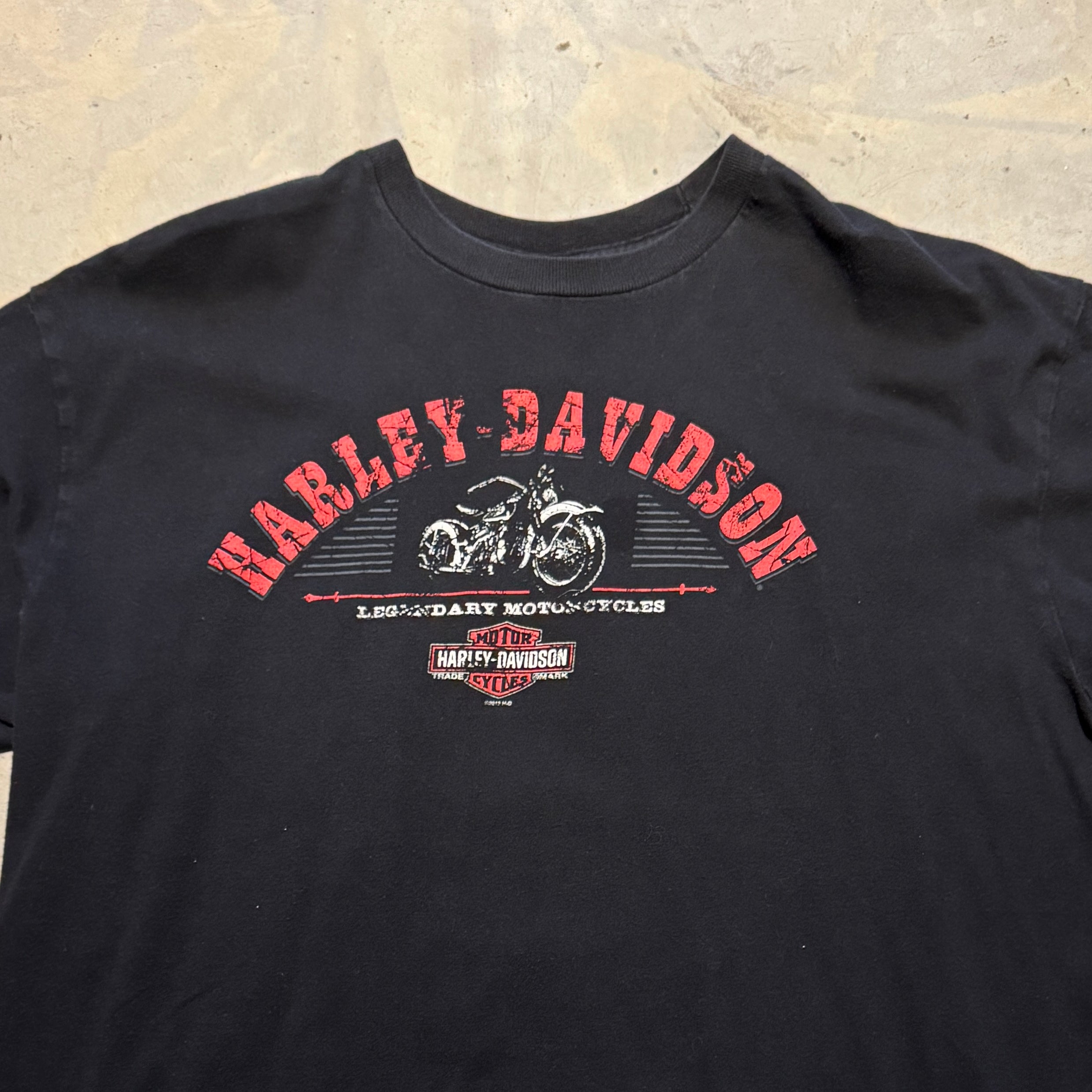 Harley Davidson "Texas" Tee