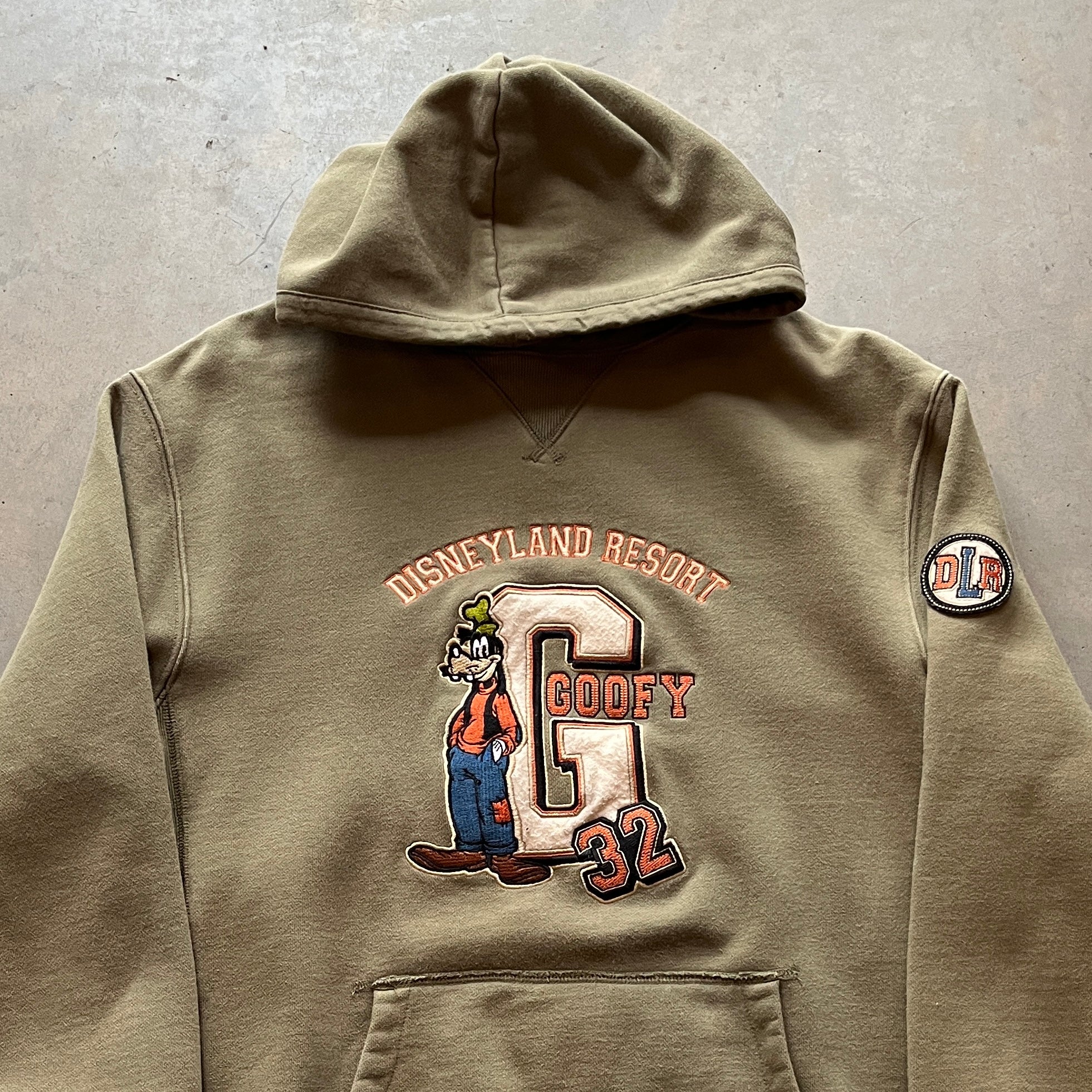 Vintage Disney Resort Hoodie